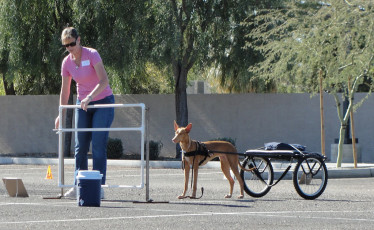 cartingtest2011
